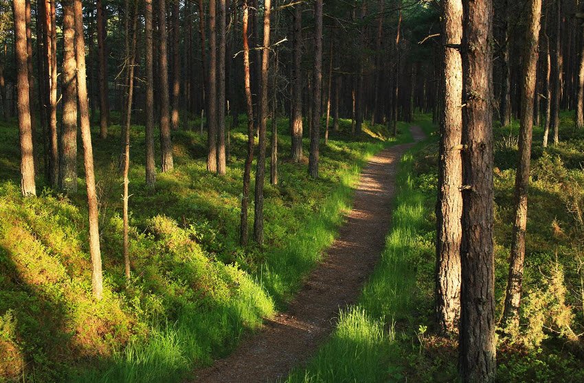 Slītere National Park, Latvia